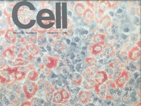 journal cover cell metabolism dec 1995