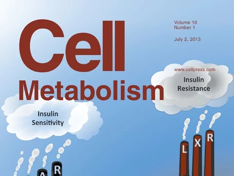 journal cover cell metabolism july 2013