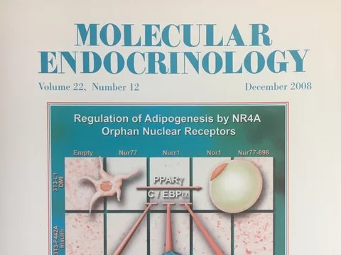 journal cover molecular endocrinology dec 2008